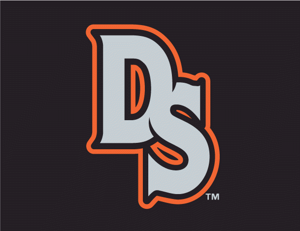 Delmarva Shorebirds 2010-Pres Cap Logo decal supplier